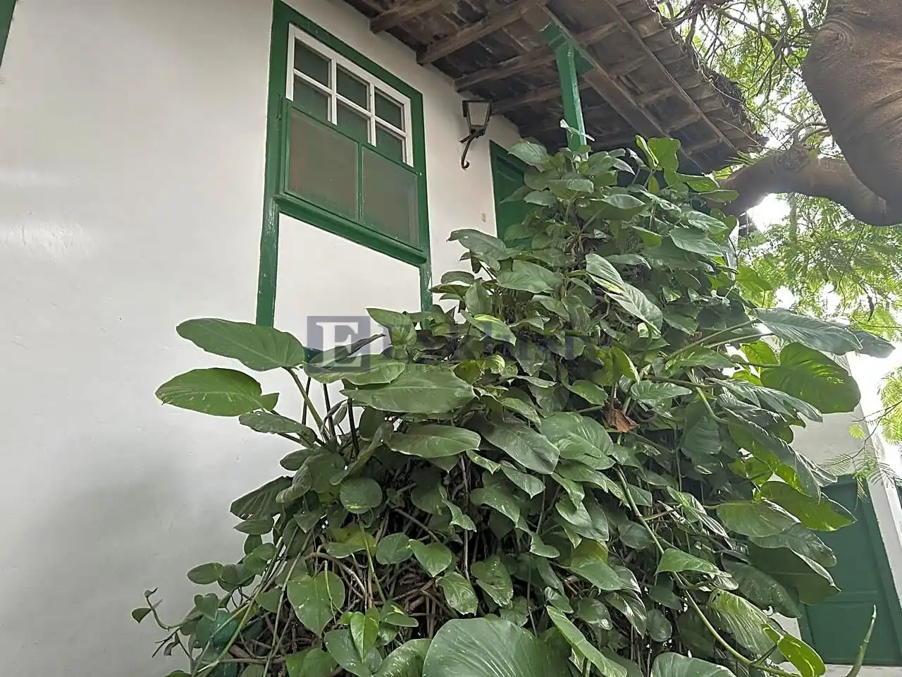 Vista exterior de Finca rústica en venta en Arico