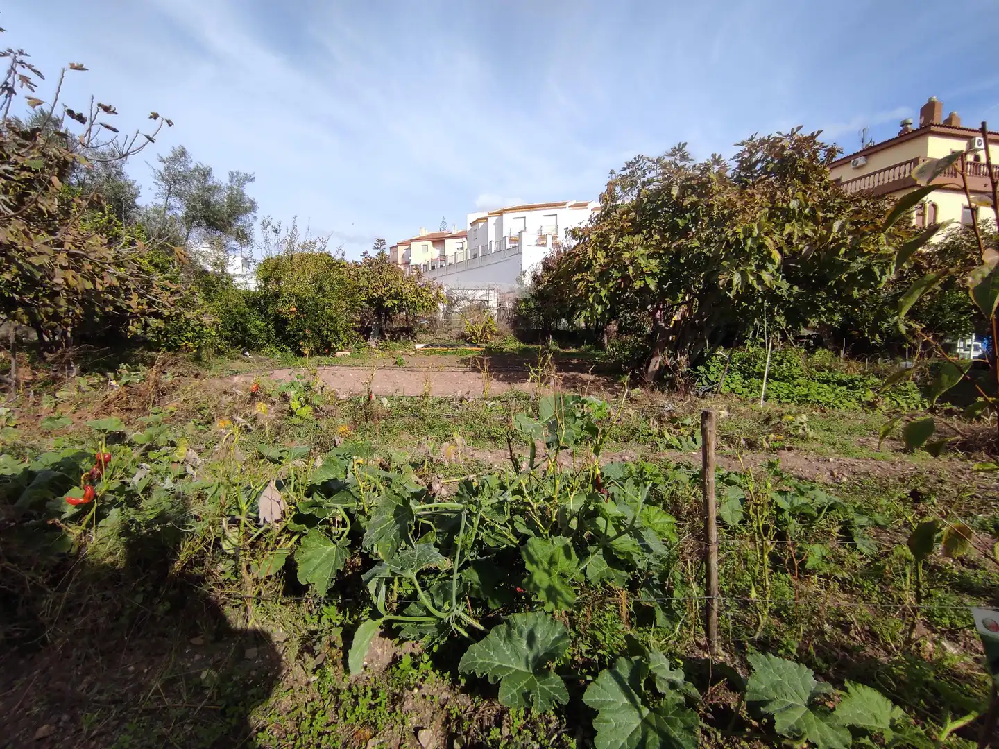 Terreni e lotti in vendita a Ayamonte ciudad