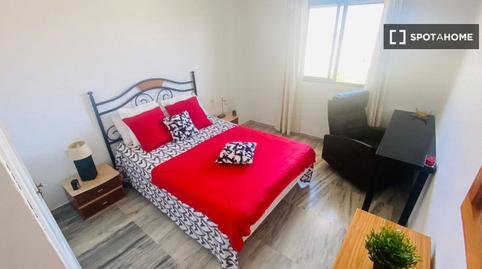 Foto 3 de Pis per a compartir a Cortijo Alto, Málaga