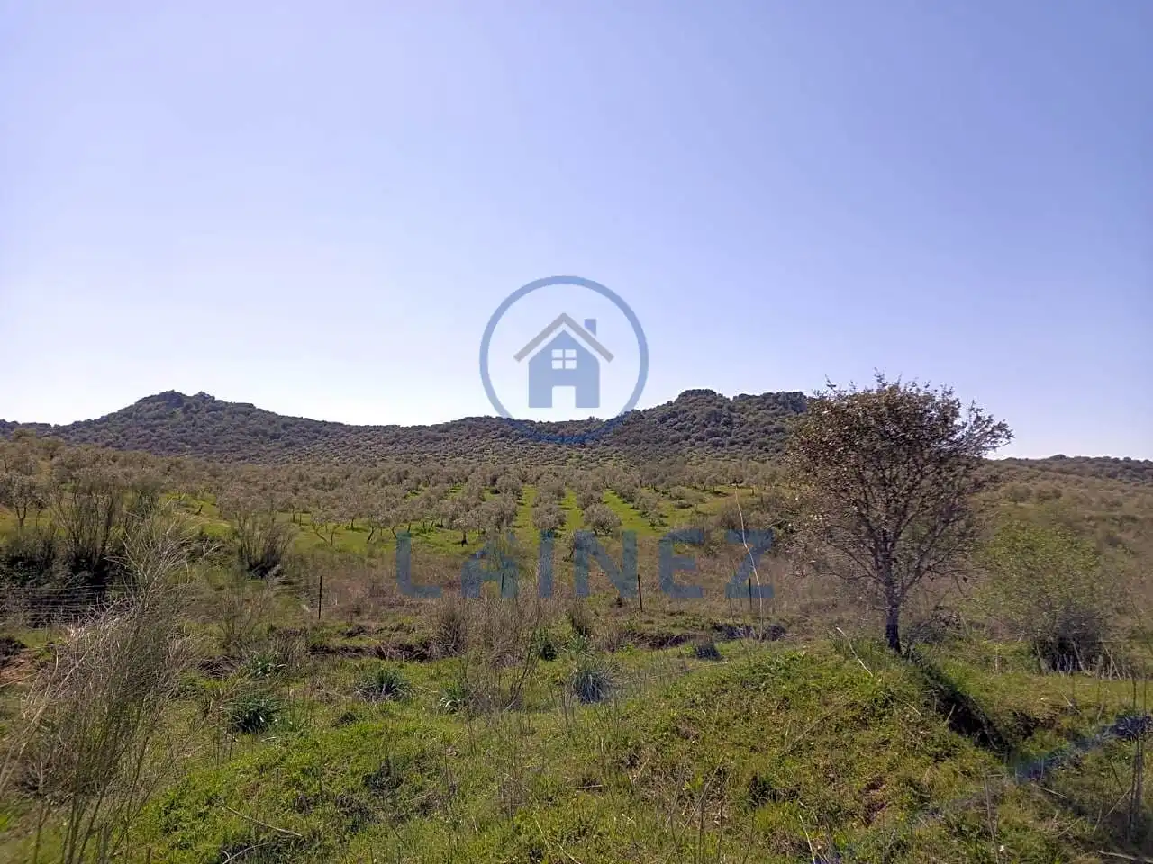 Terreny residencial en venda a Belmez, imagen 12