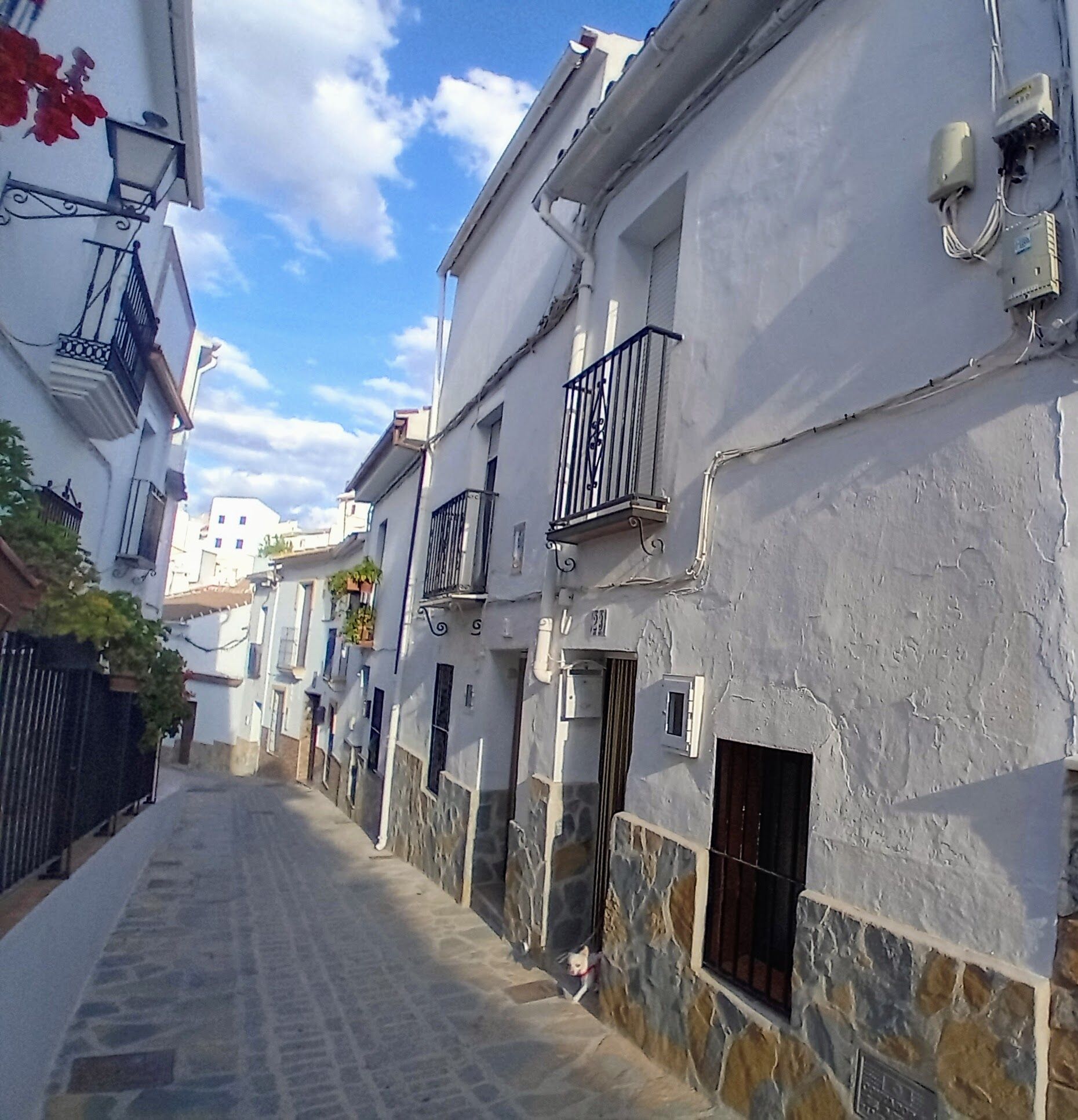 Vista exterior de Casa o xalet en venda en Yunquera