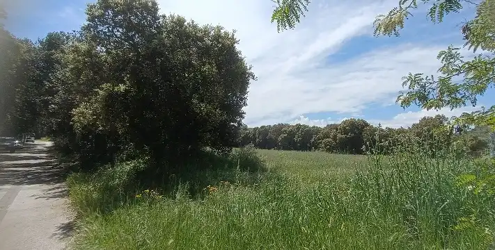 Residential land for sale in Calle Carretera 6, imagen 3