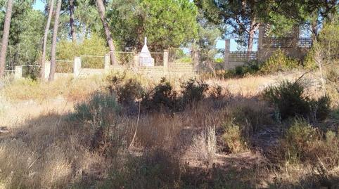 Photo 3 of Residential for sale in Urbanizacion Pinar de la Bota, Isla Cristina Ciudad, Huelva