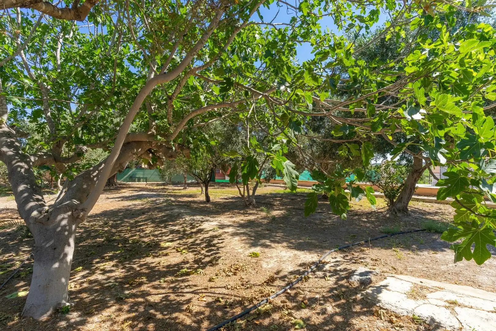 Casa o chalet en venta en Molina de Segura con Aire acondicionado, Calefacción y Terraza