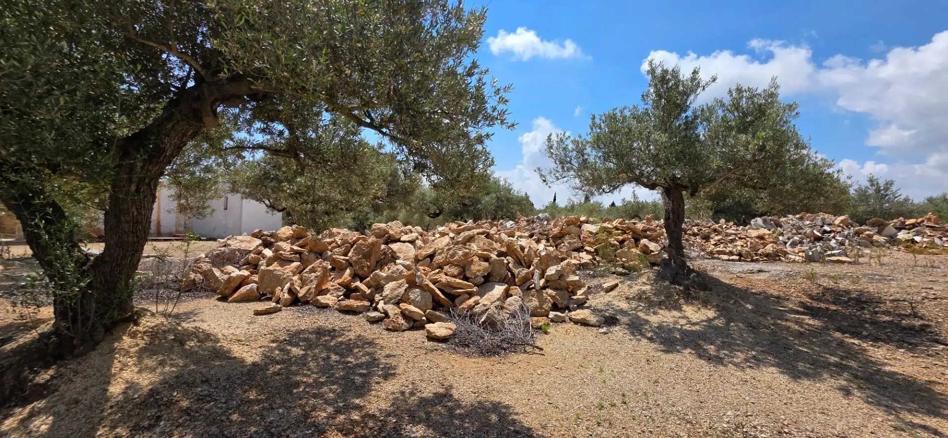 Maison rustique à vendre à L'Ampolla, imagen 15