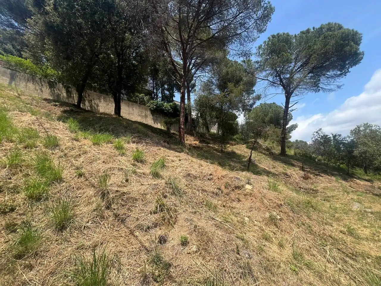 Terrenos y solares en venta en calle Joan Maragall i Gorina, imagen 3