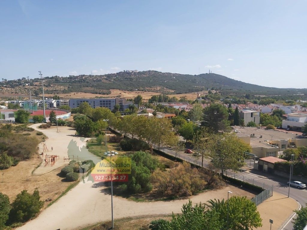 Duplex to rent in Centro
