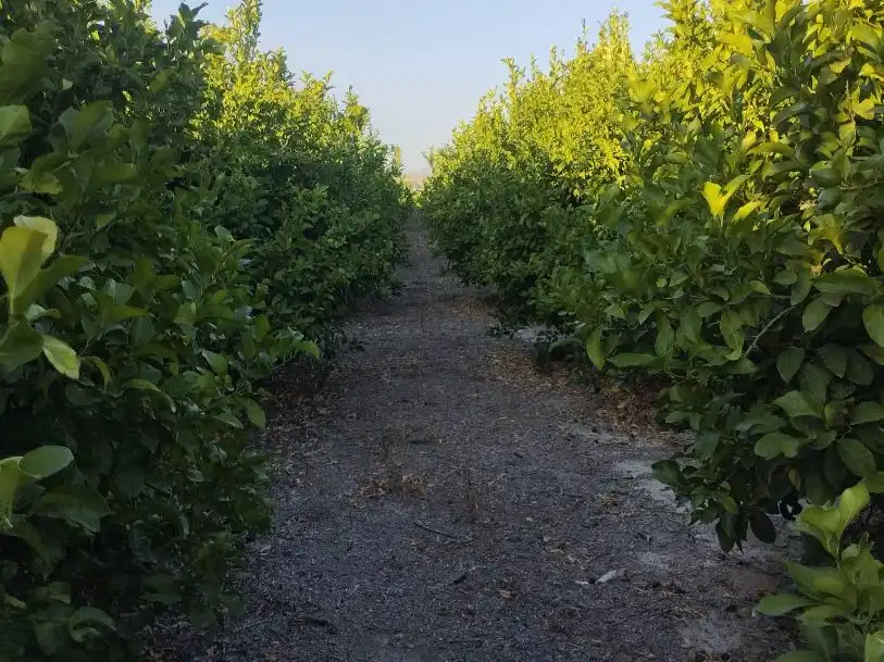 Terreno en venta en Molina de Segura
