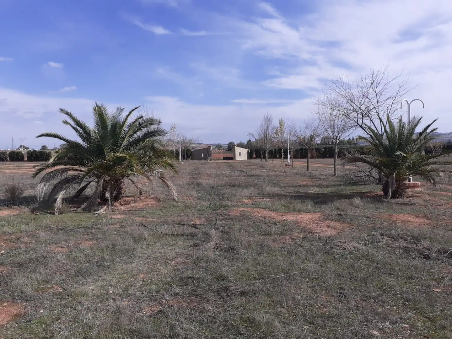 Lands and plots for sale in Valdepeñas, imagen 3