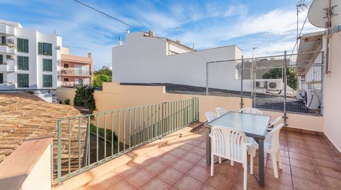 Foto 3 de Finca rústica en venta en Port de Pollença, Pollença