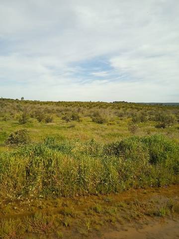 Terreno en Venta en N-232, 25 en Doctor Cerrada
