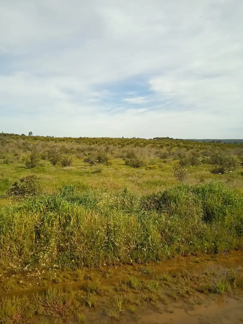 Grundstücke zum Verkauf in N-232, 25, Doctor Cerrada