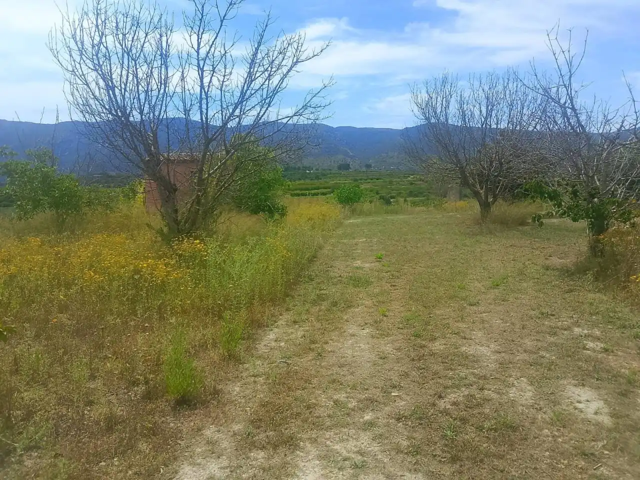 Land for sale in Bélgida