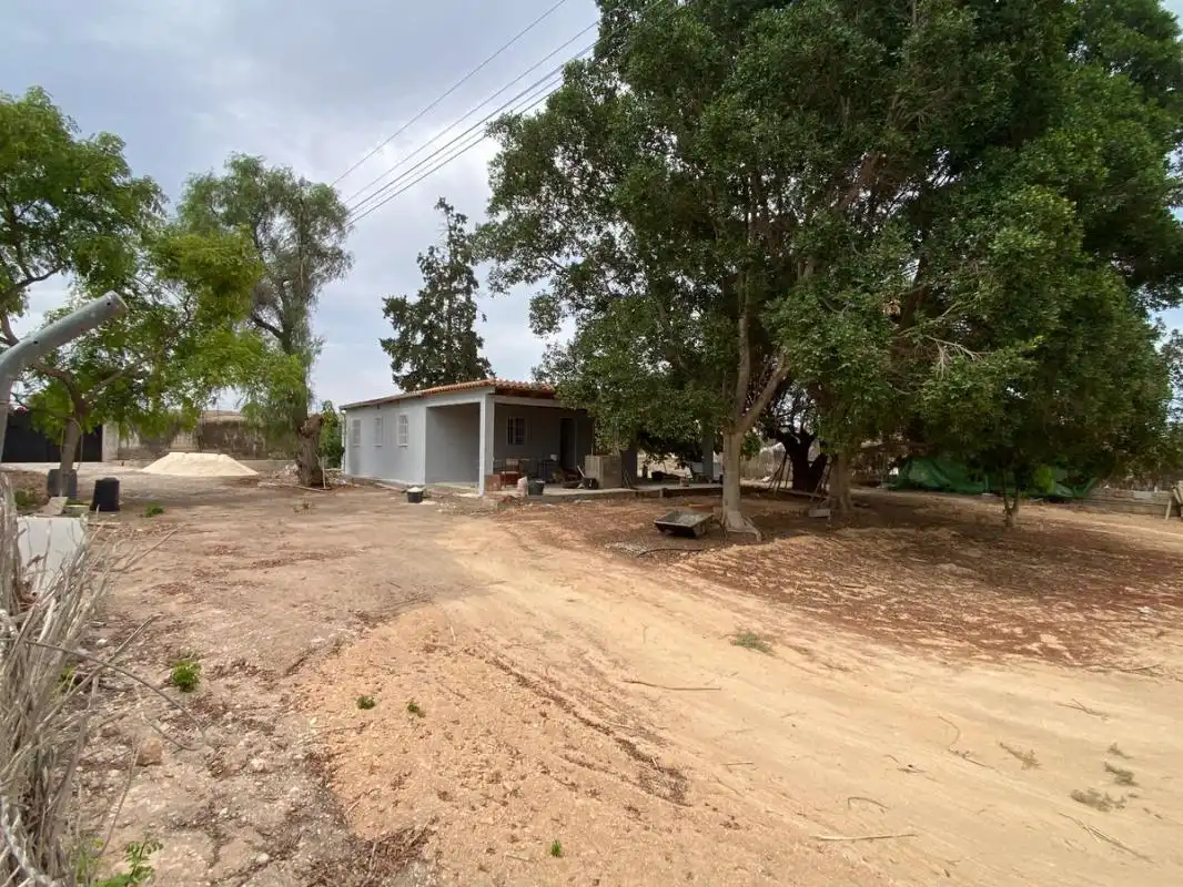 Casa con terraza en venta en Torrellano, imagen 3