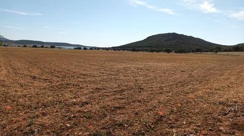 Foto 5 de Terreno en venta en Fernán Caballero, Ciudad Real