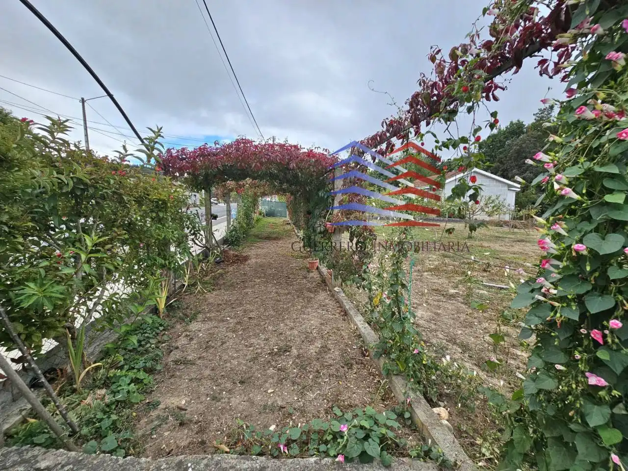 Jardí de Casa o xalet en venda en Celanova amb Jardí privat i Terrassa