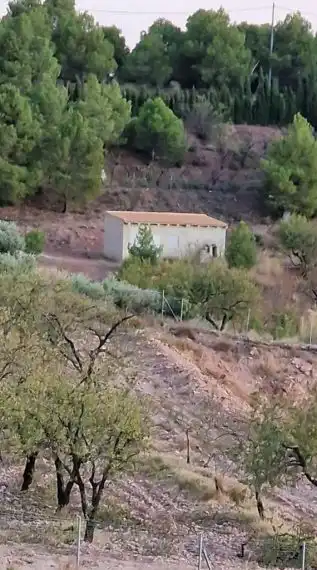 Casa o chalet en venta en Aledo