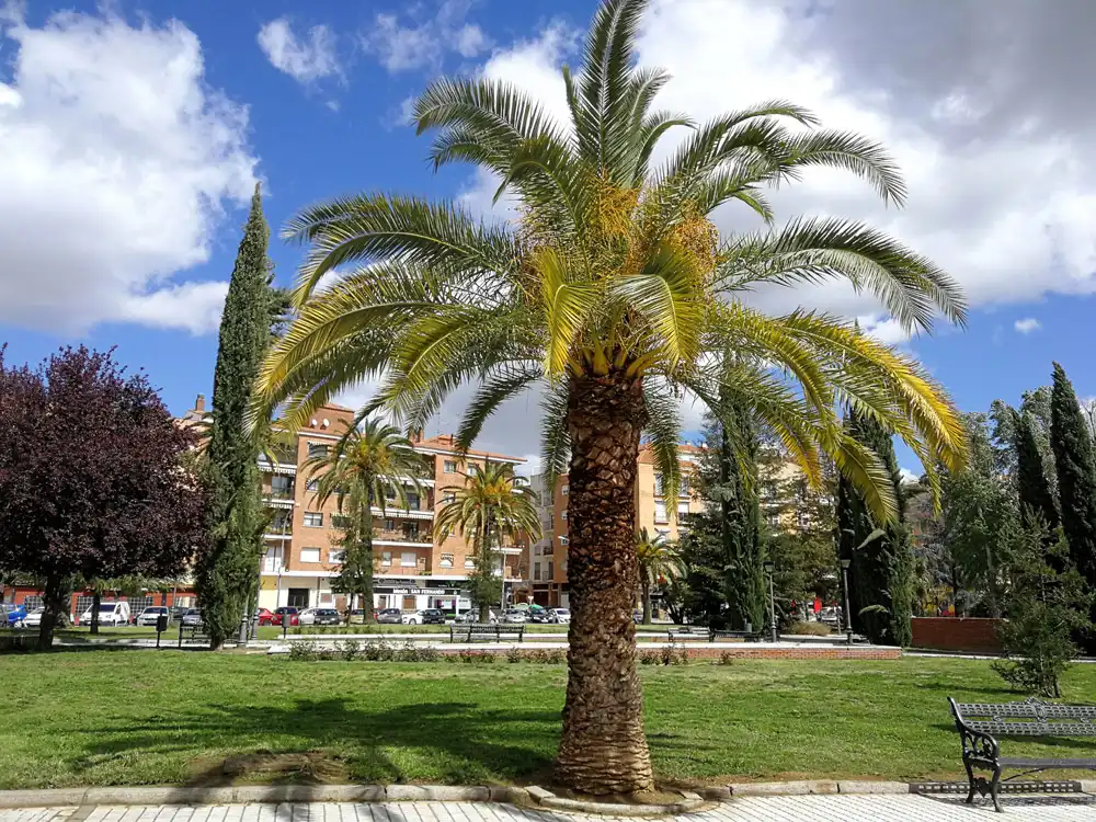 Exterior view of Apartments for sale in Badajoz  with Balcony