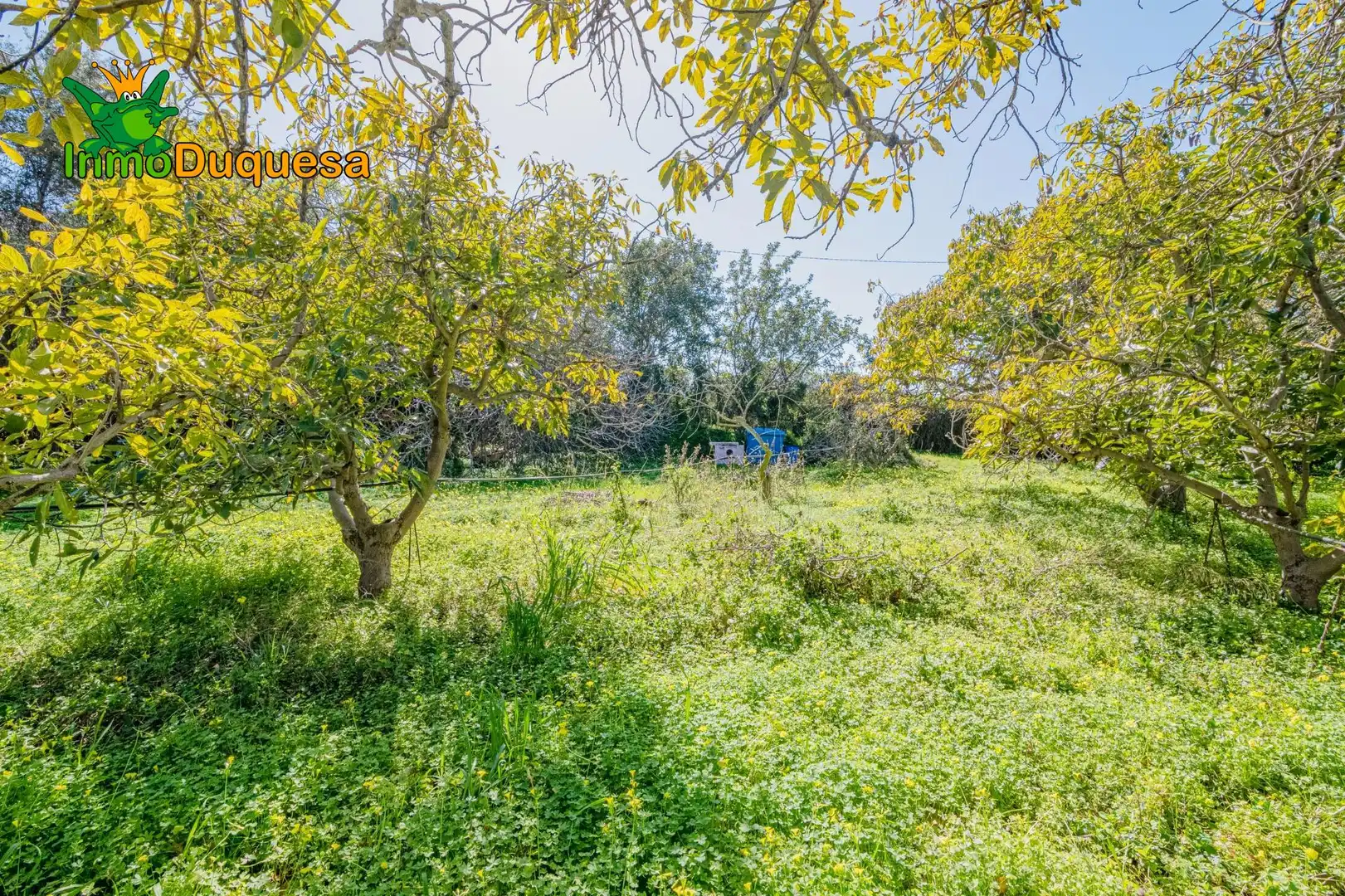 Detached house with pool for sale in Los Tablones - La Garnatilla, imagen 62