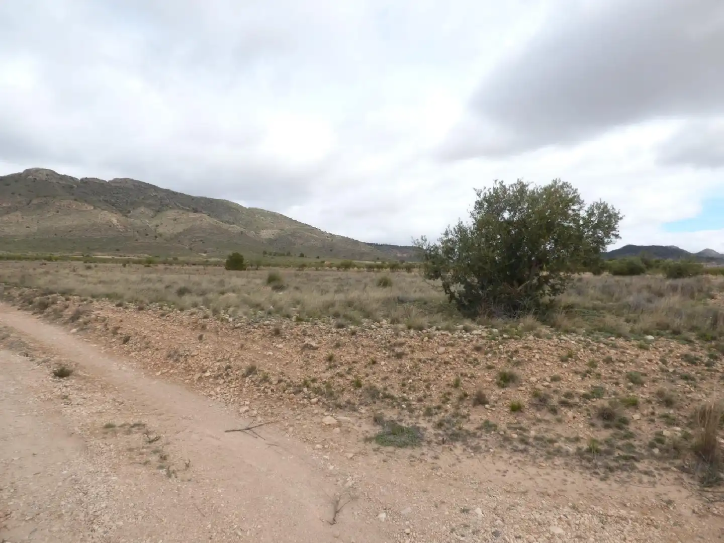 Rustikales Grundstück zum Verkauf in Jumilla, imagen 18