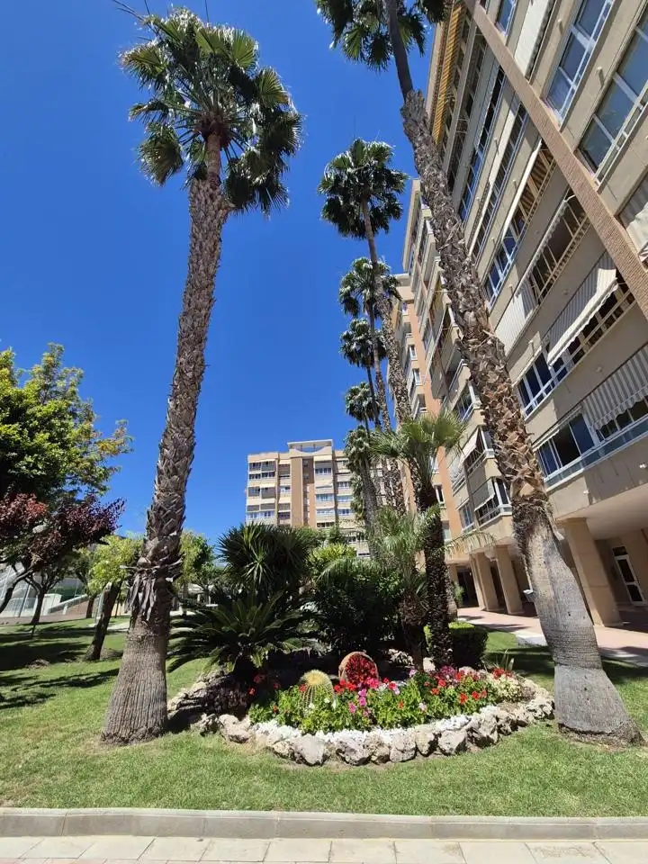 Vista exterior de Pis en venda en Alicante / Alacant amb Aire condicionat i Terrassa