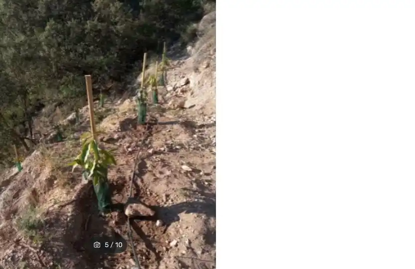 Terreno rustico in vendita a Los Guájares, imagen 4