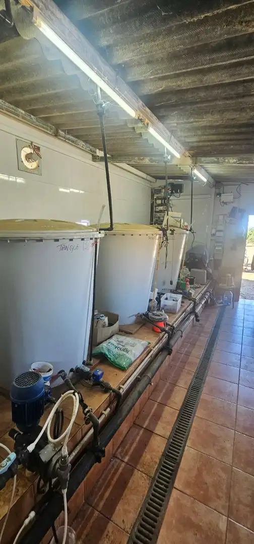 Casa rústica en venta en Vélez-Málaga ciudad, imagen 5