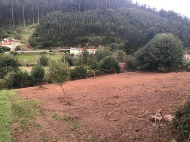 Terreny rústic en venda a Valdoviño
