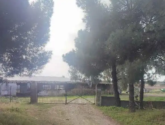Nave industrial en venta en Almoharín