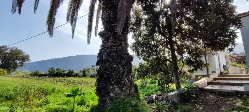 Terreno rústico en venta en Camino de La Sierra, imagen 4
