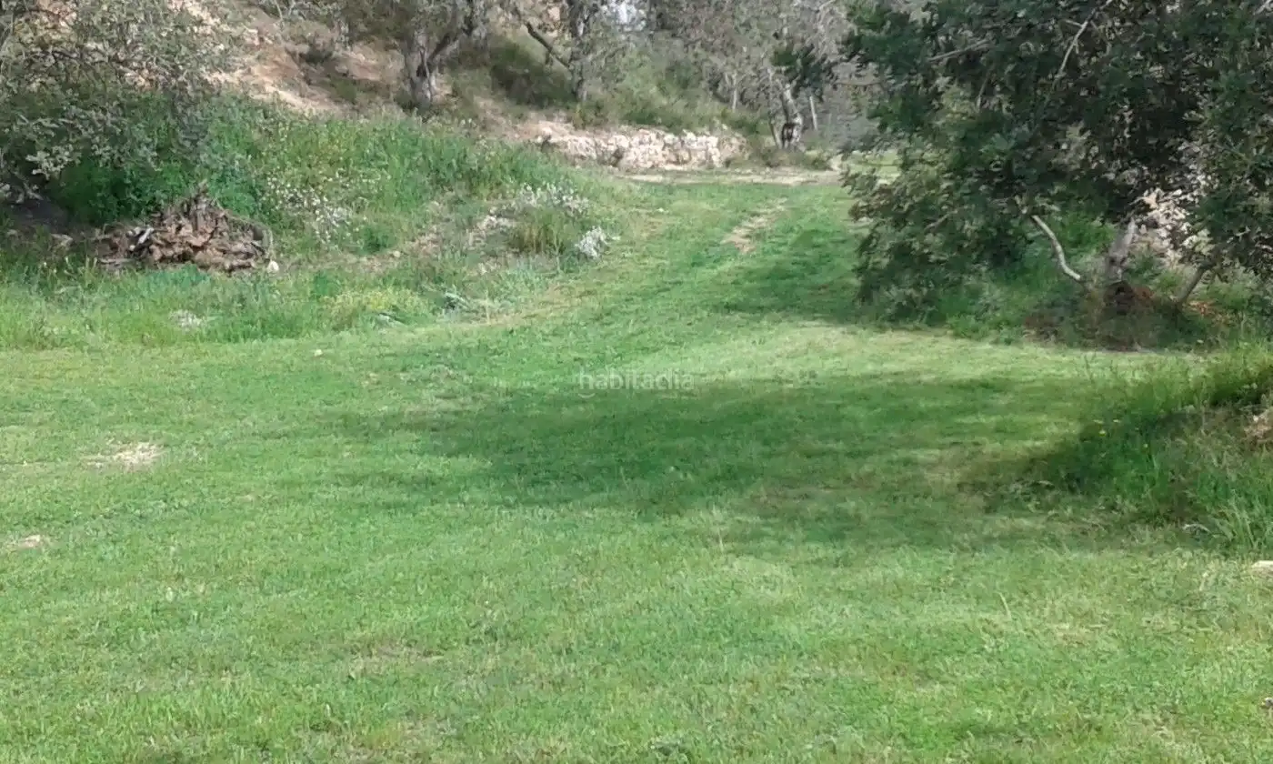 Terrain rustique à vendre à Carrer de l'Aigua 26, imagen 2