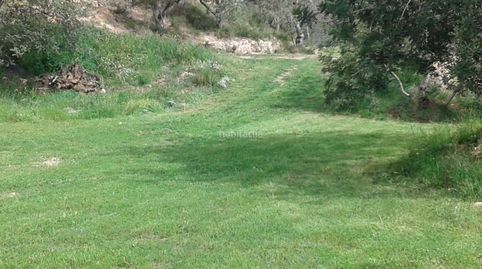 Venta de terreno con suelo no urbanizable, immagine 2