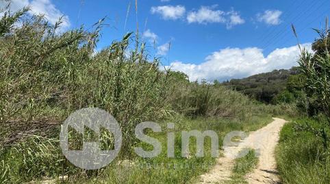 Photo 4 of Industrial land for sale in B-510 Km 2,02 de Argentona a Dosrius, Dosrius poble, Barcelona