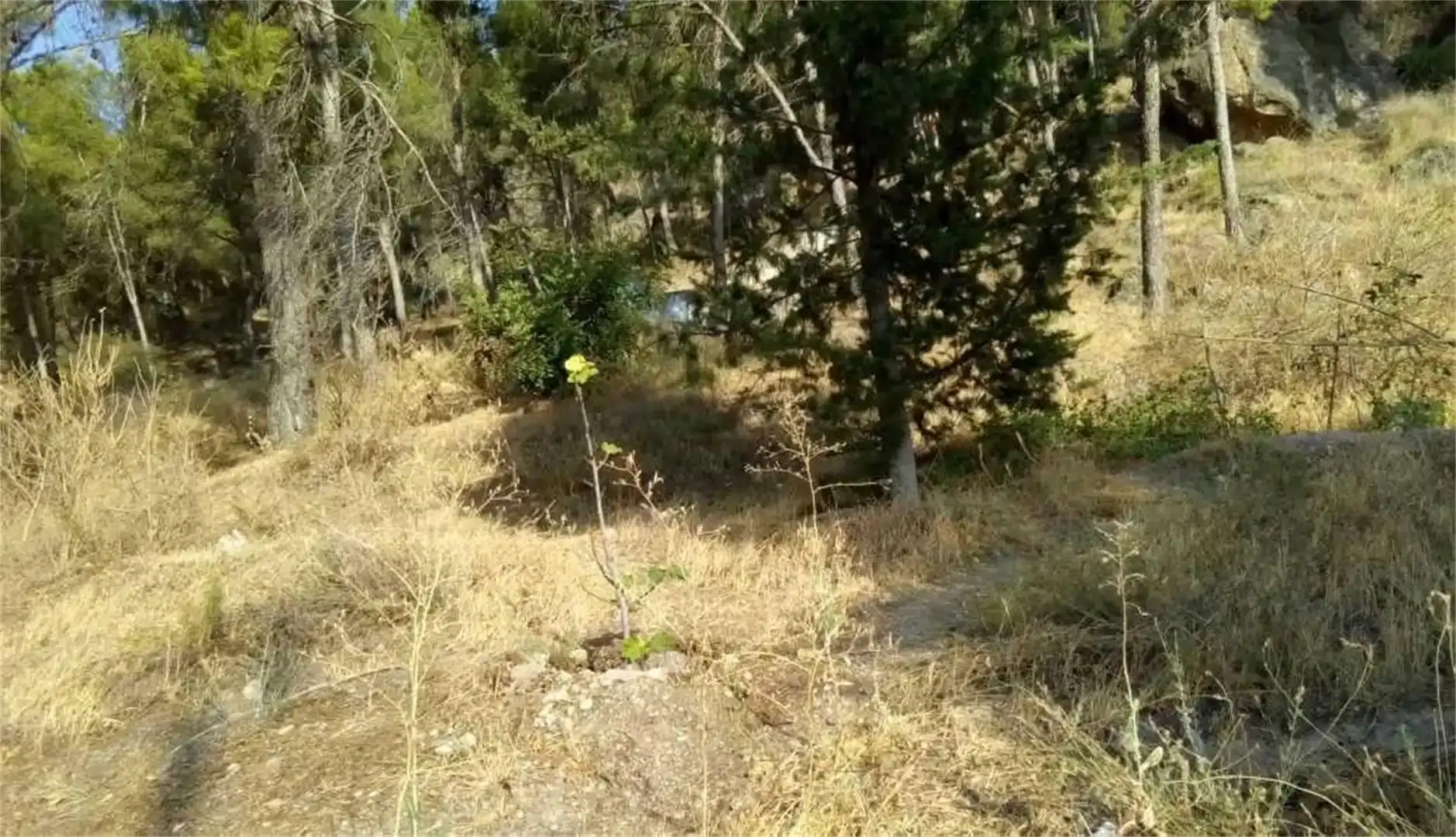Terreno en venta en Pedanías Este