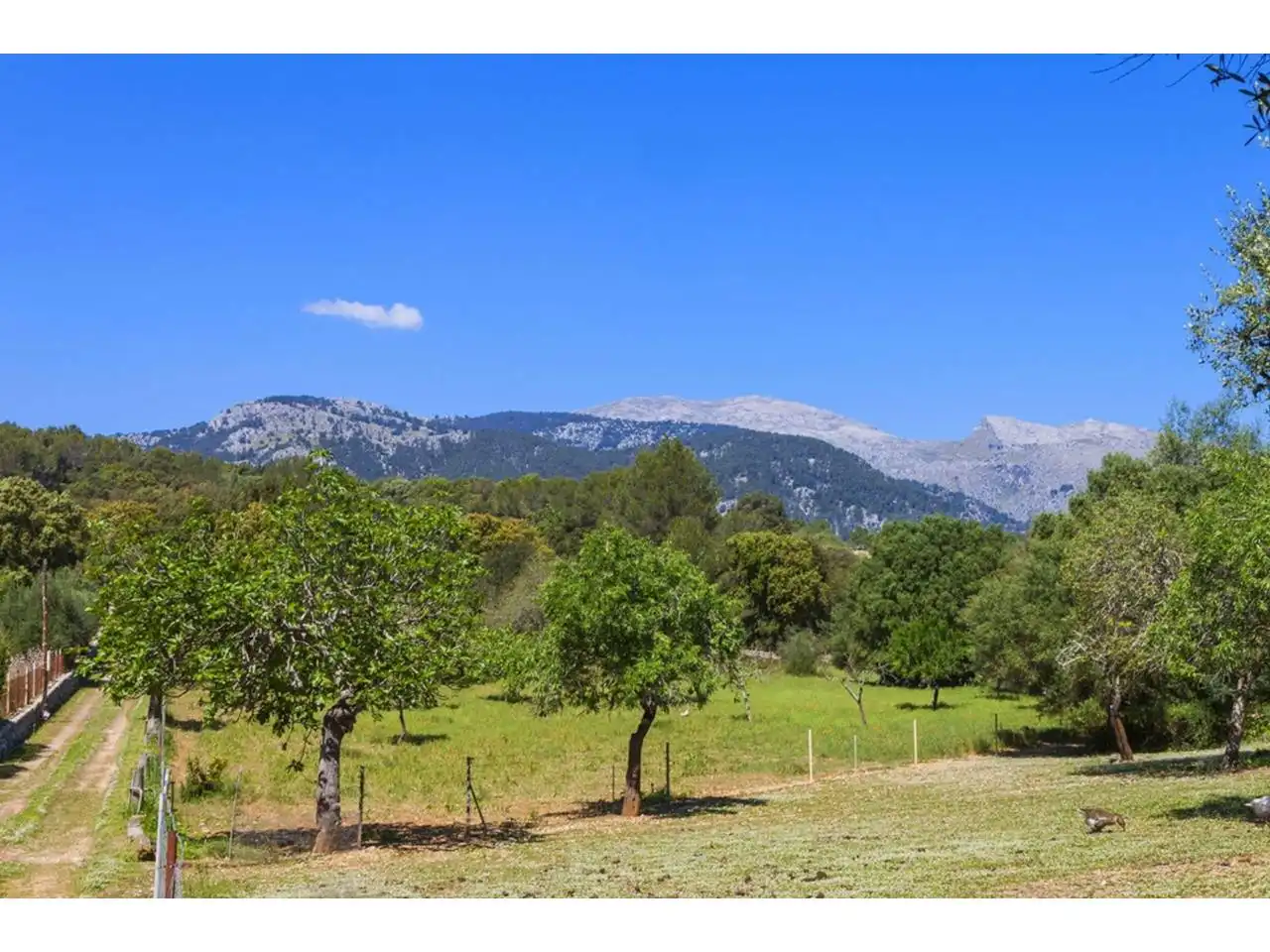 Außenansicht von Residential zum Verkauf in Campanet