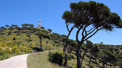 Foto 2 de Casa o xalet en venda a Ciutat Diagonal, Esplugues de Llobregat