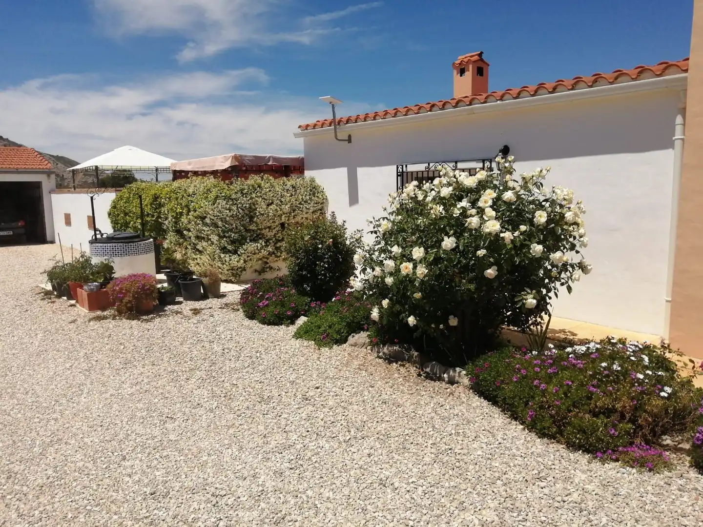 Jardín de Casa o chalet en venta en Villena con Calefacción, Jardín privado y Trastero