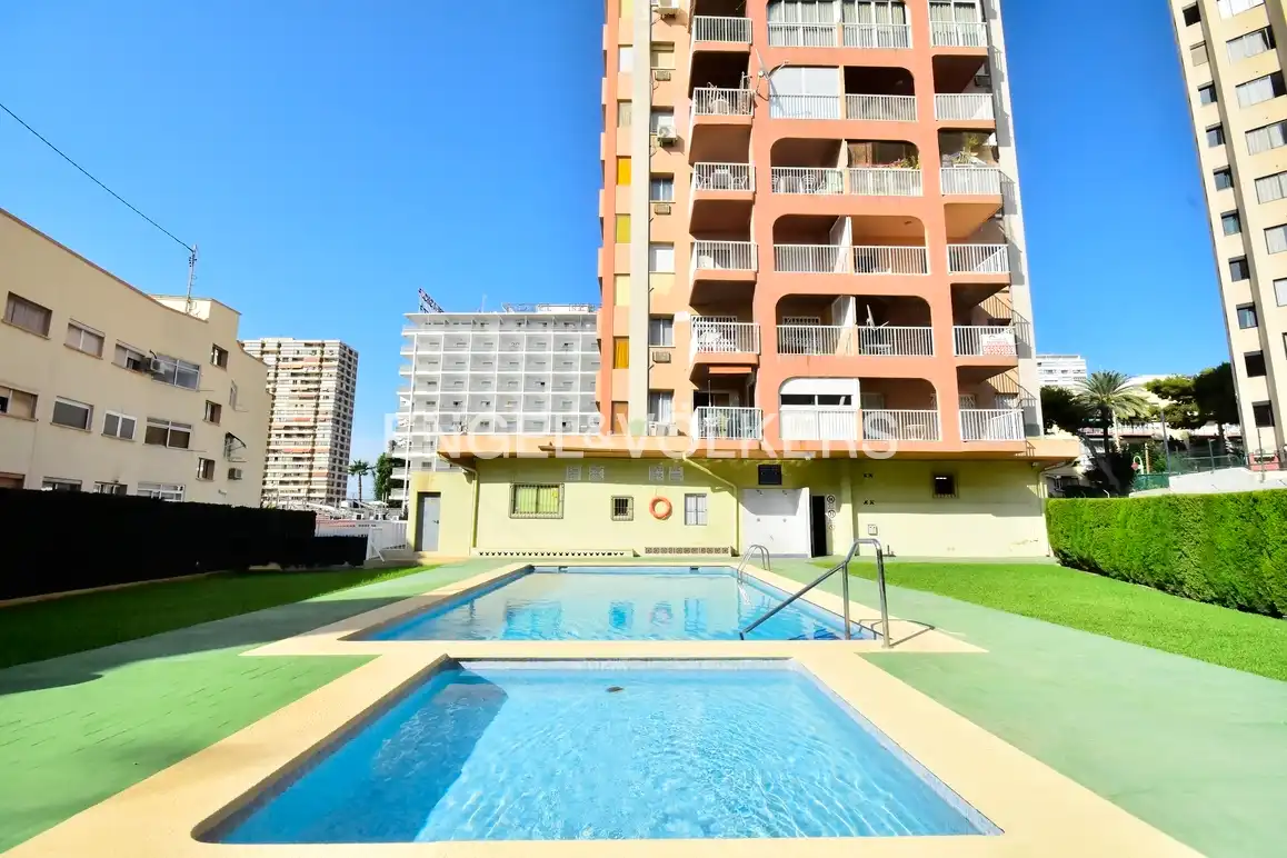 Piscina de Apartamento de alquiler en Benidorm con Terraza, Amueblado y Piscina comunitaria