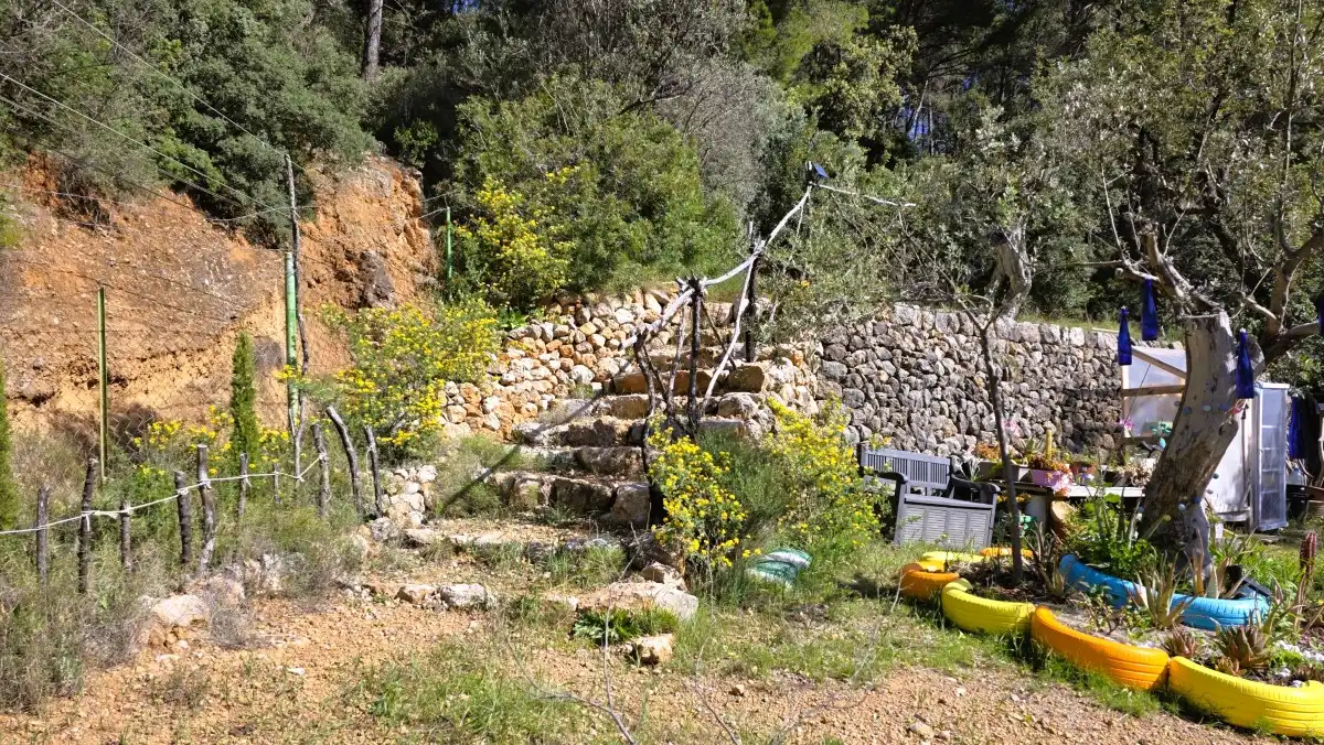 Terreny rústic en venda a Sóller, imagen 3