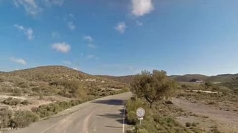 CAZA MENOR Y JABALÍ A 30 MIN DE ALMERÍA