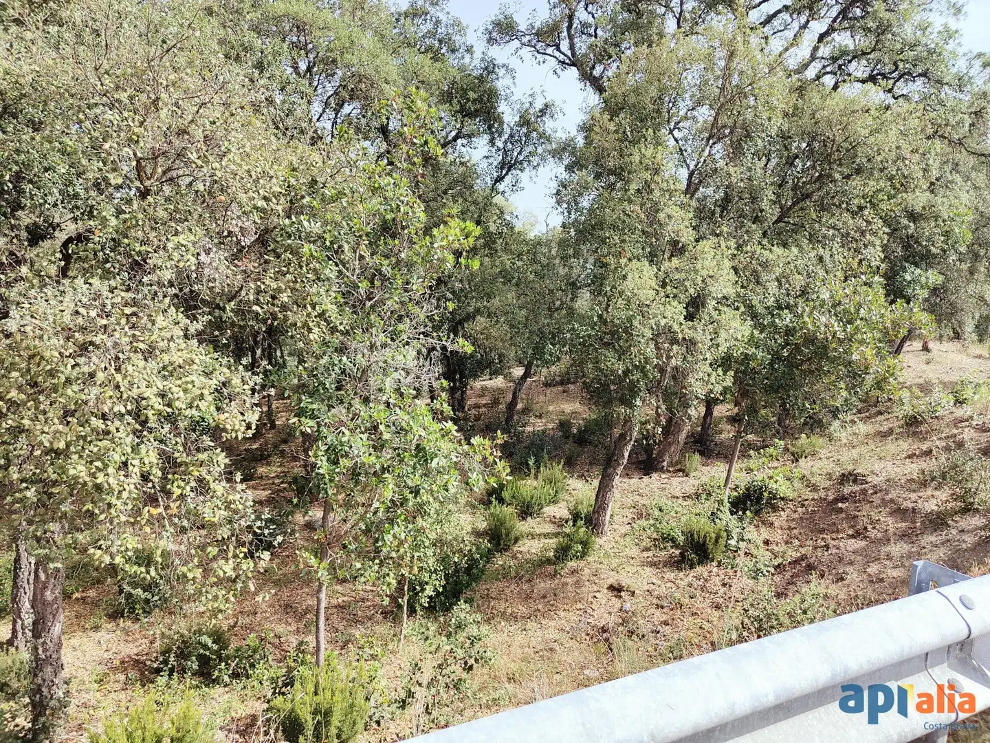 Terreny residencial en venda a Vall Repòs, imagen 3