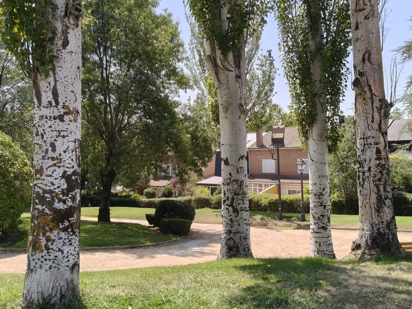 Vista exterior de Casa adosada en venta en Collado Mediano con Aire acondicionado, Calefacción y Jardín privado
