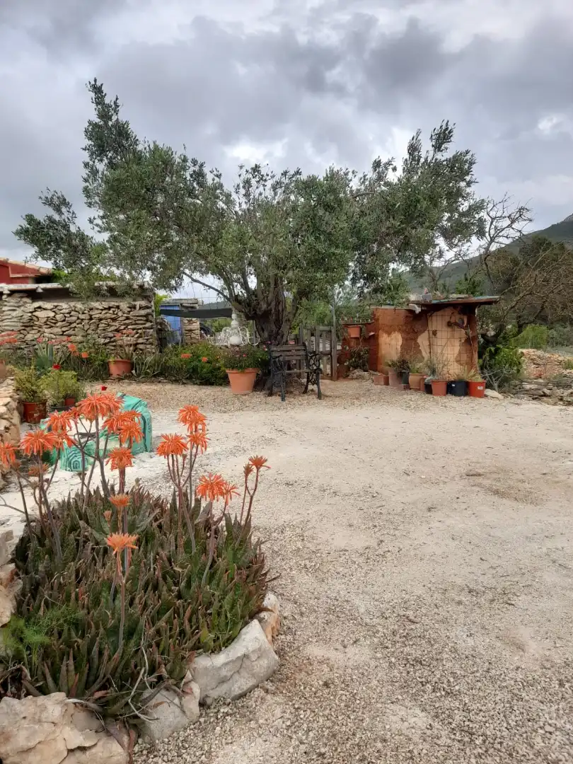 Jardín de Finca rústica en venta en Llíber con Amueblado