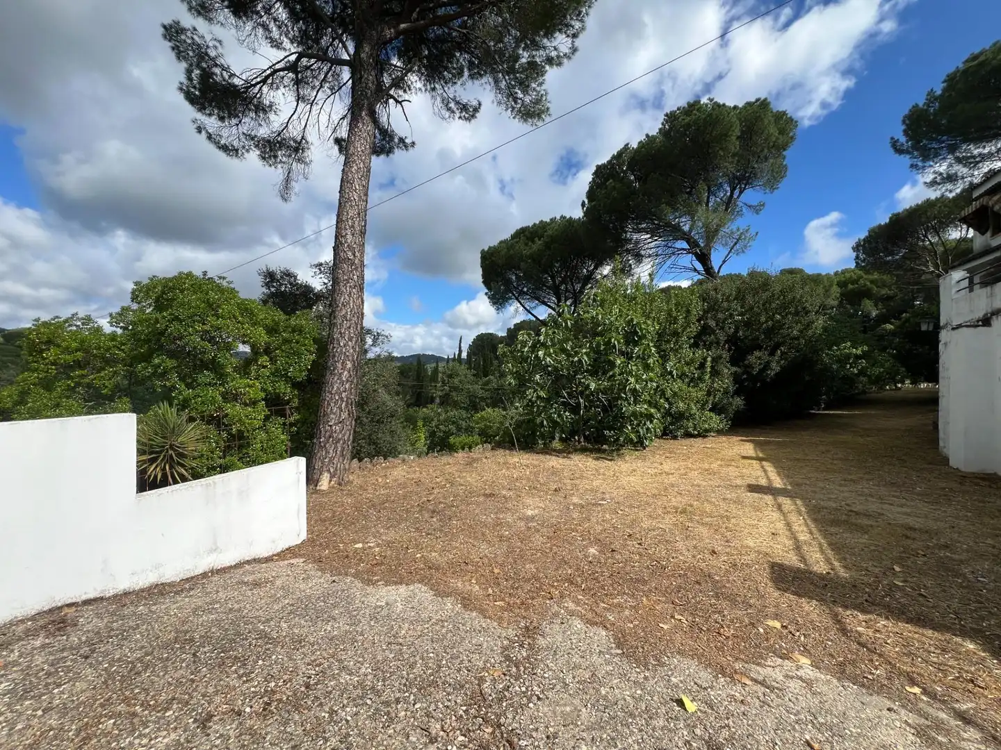 Chalet con piscina en venta en Calle Calle Puerto Artafi 6, imagen 77
