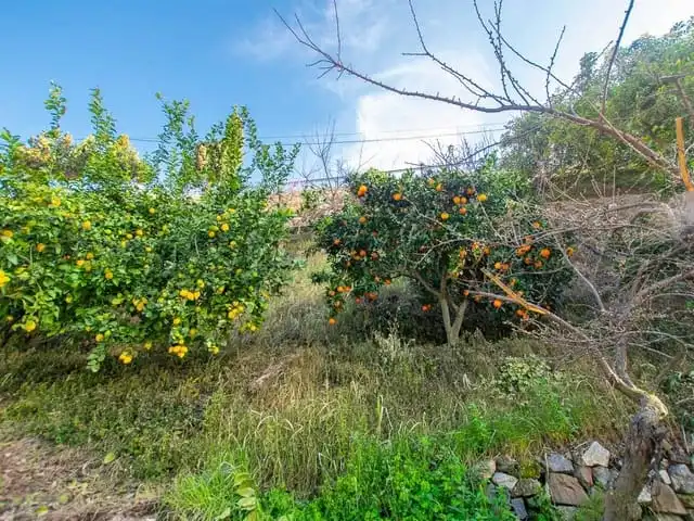 Terreni e lotti in vendita a Canillas de Albaida, imagen 2