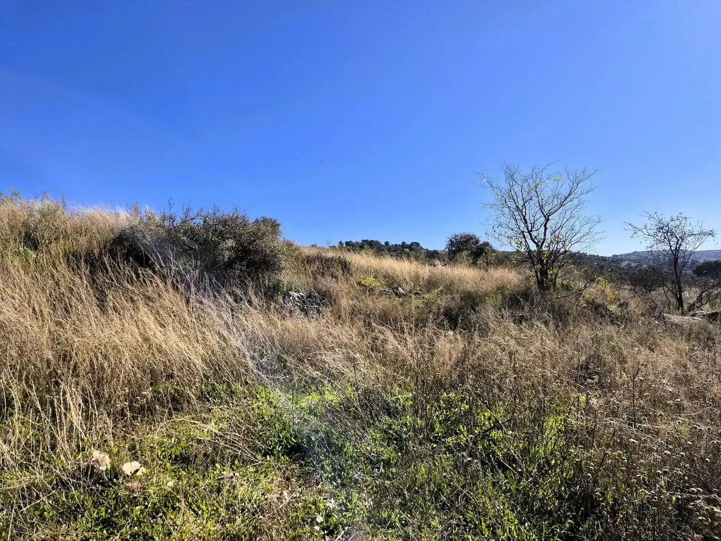 Rural land for sale in Alhama de Granada, imagen 11
