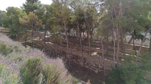 Foto 5 de Residencial en venta en El Maset, La Ràpita