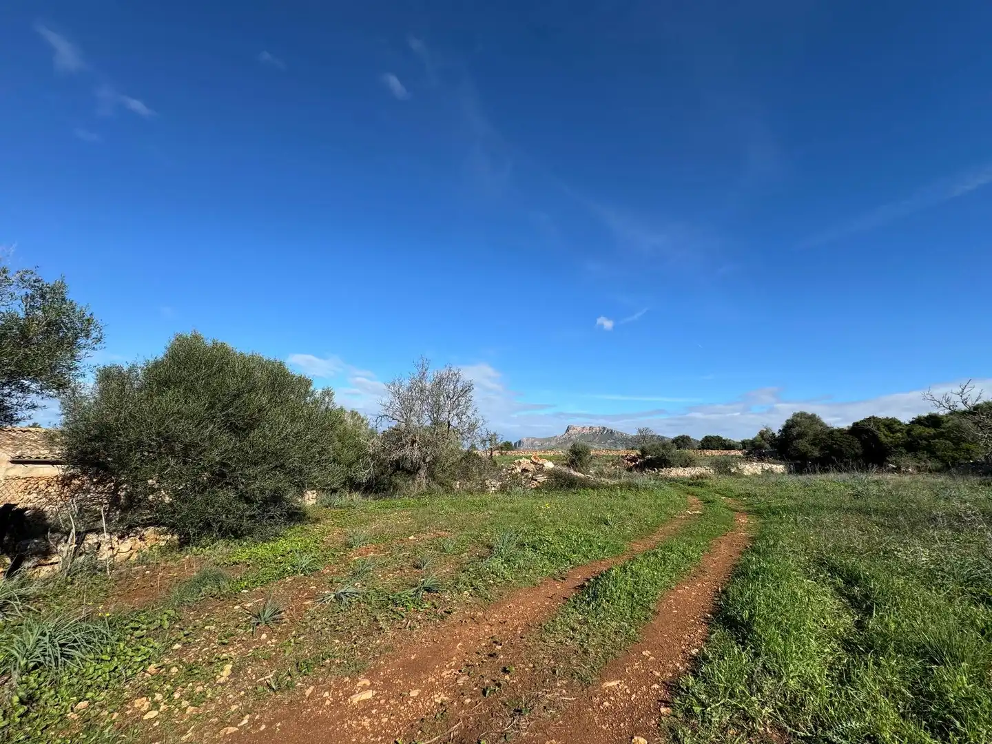 Casa rustica con giardino in vendita a Artà Poble, imagen 6