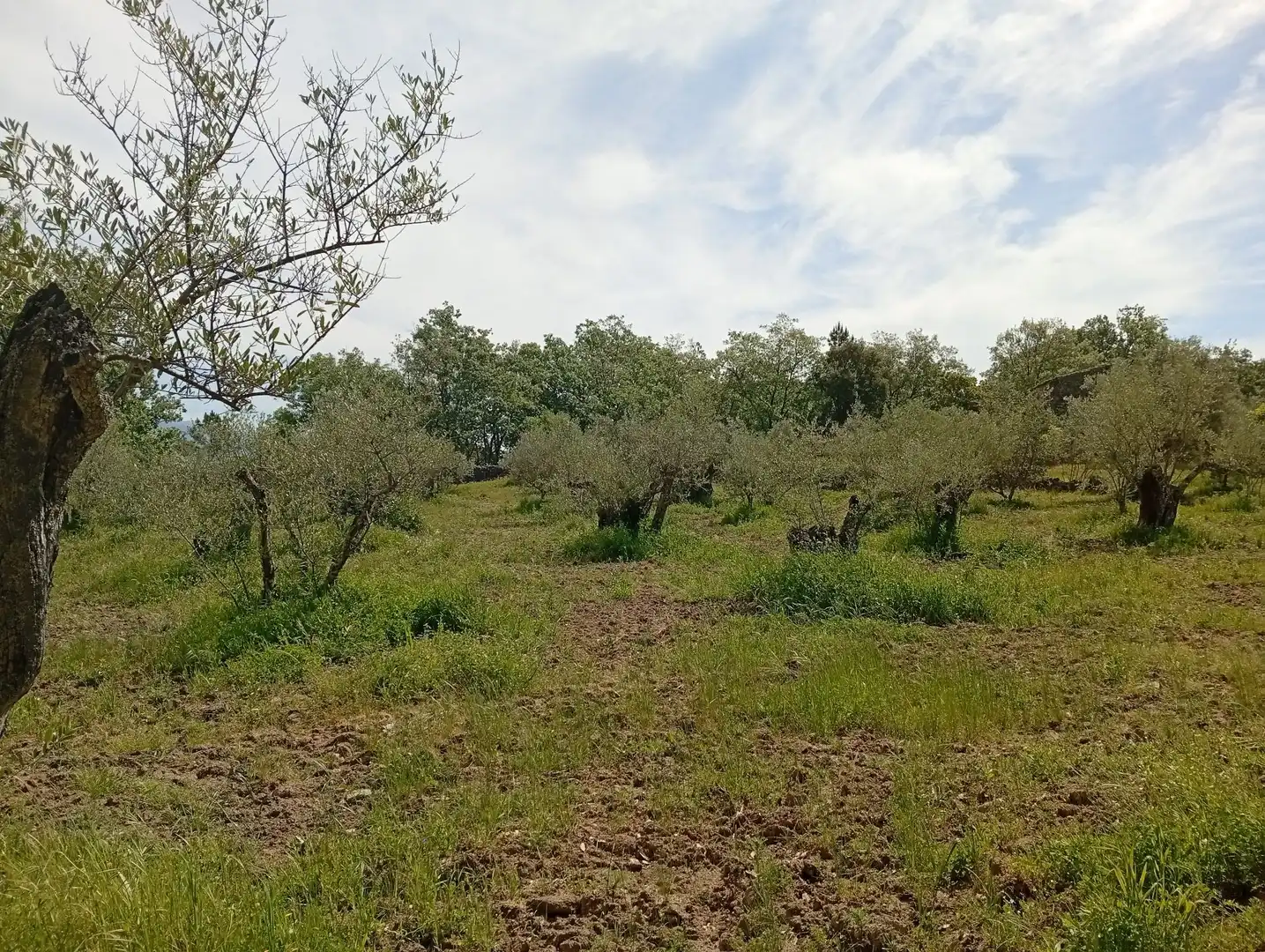 Terreni e lotti in vendita a Villanueva de la Vera, imagen 46