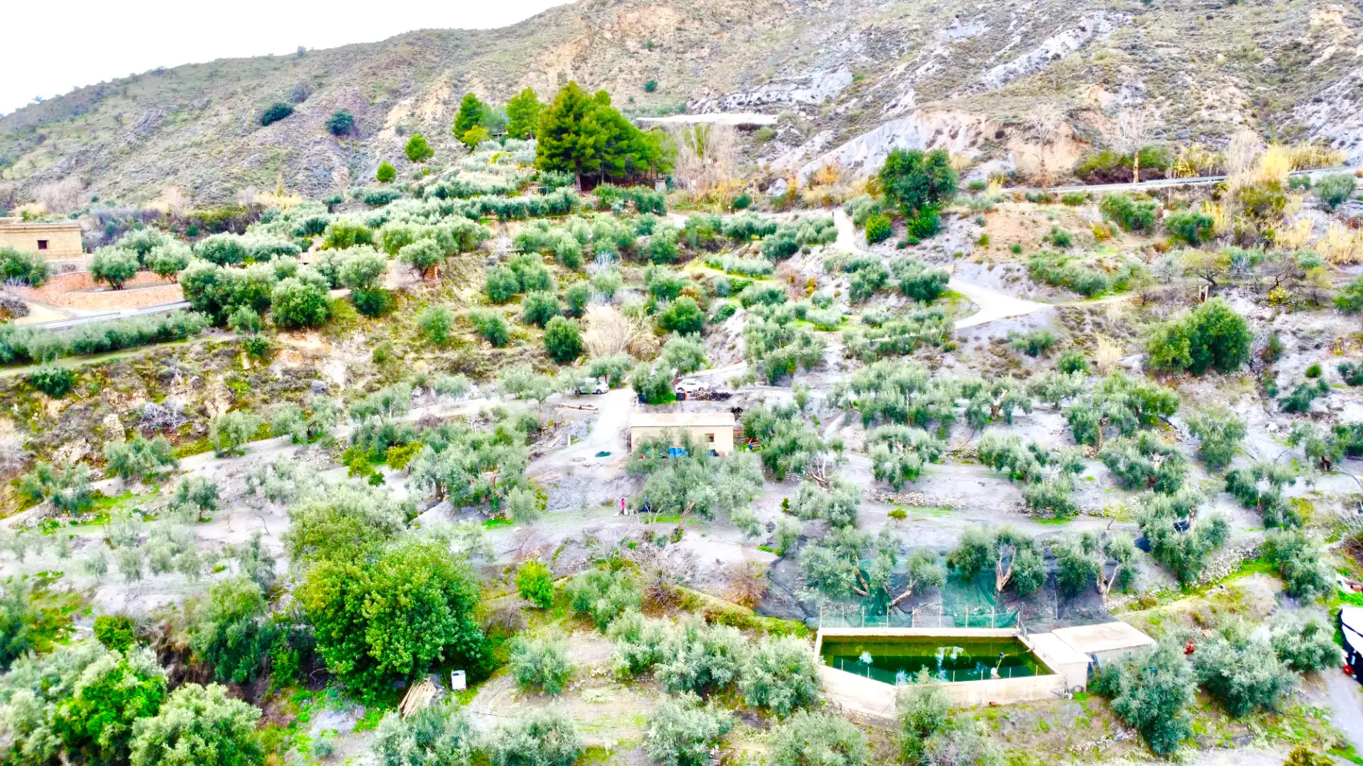Terreni e lotti in vendita a Lugar Cortijo El Peñon, imagen 36